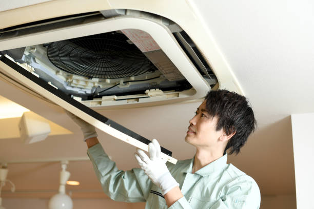Best Air Duct Cleaning Near Me  in Amboy, IL