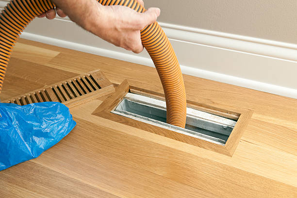 Best Affordable Air Duct Cleaning  in Amboy, IL