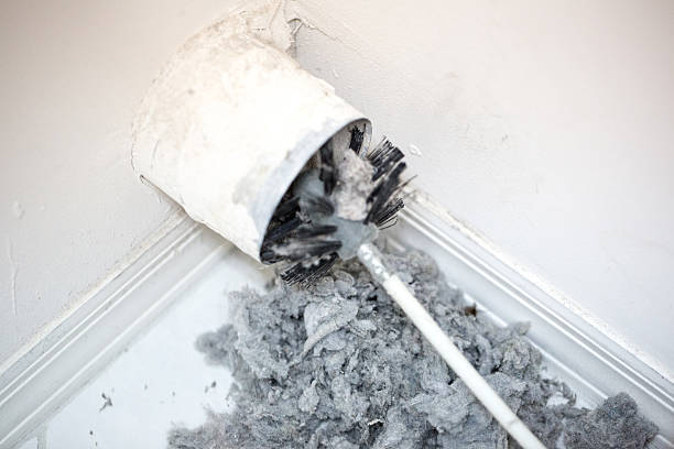 Best Air Duct Cleaning Near Me  in Amboy, IL